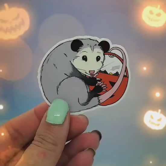 Halloween Opossum Trick or Treat Sticker - Autumn, Fall, Pumpkin, Possum, Cottagecore, Witchy, Waterbottle Laptop Decor
