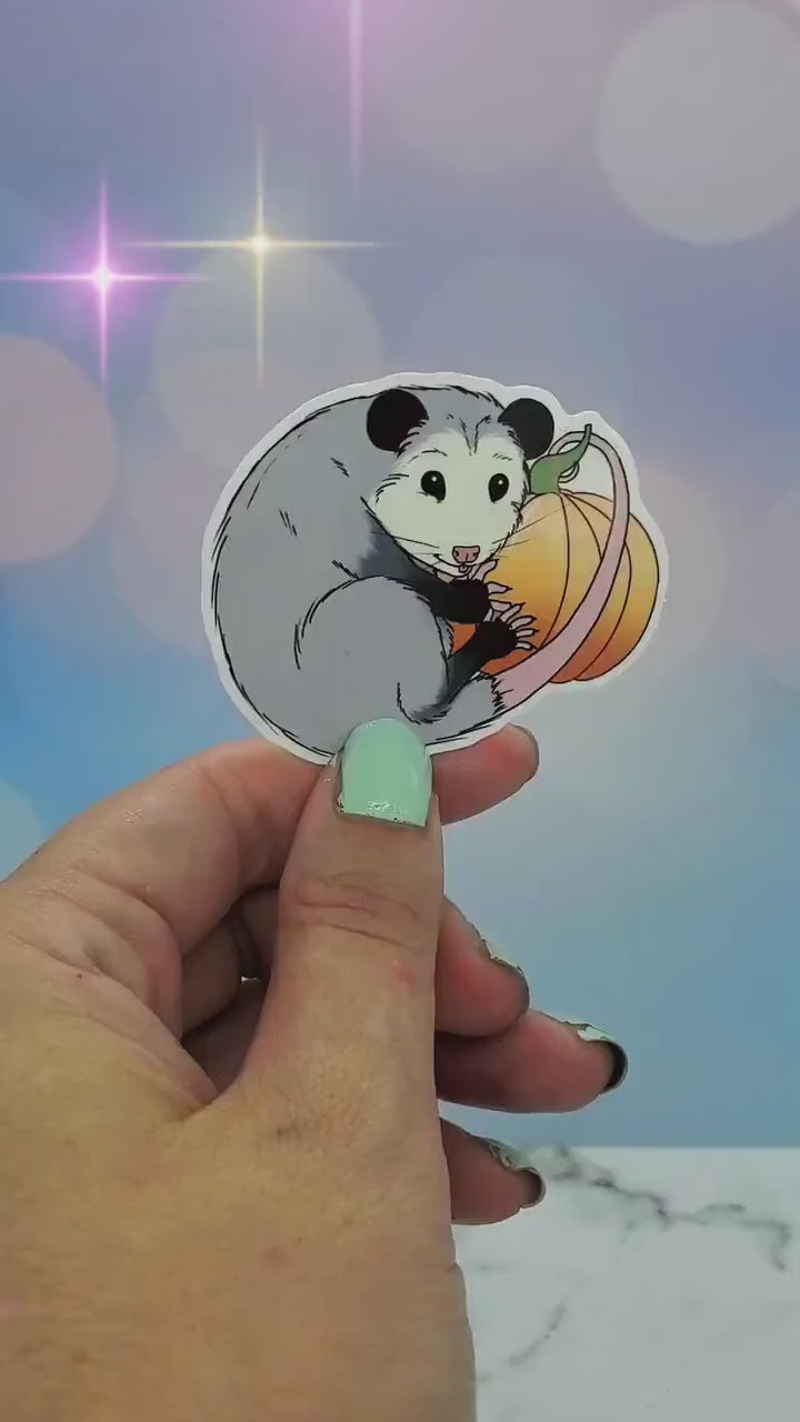 Fall Opossum Pumpkin Sticker - Autumn, Fall, Halloween, Possum, Cottagecore, Fairycore, Waterbottle Laptop Decor