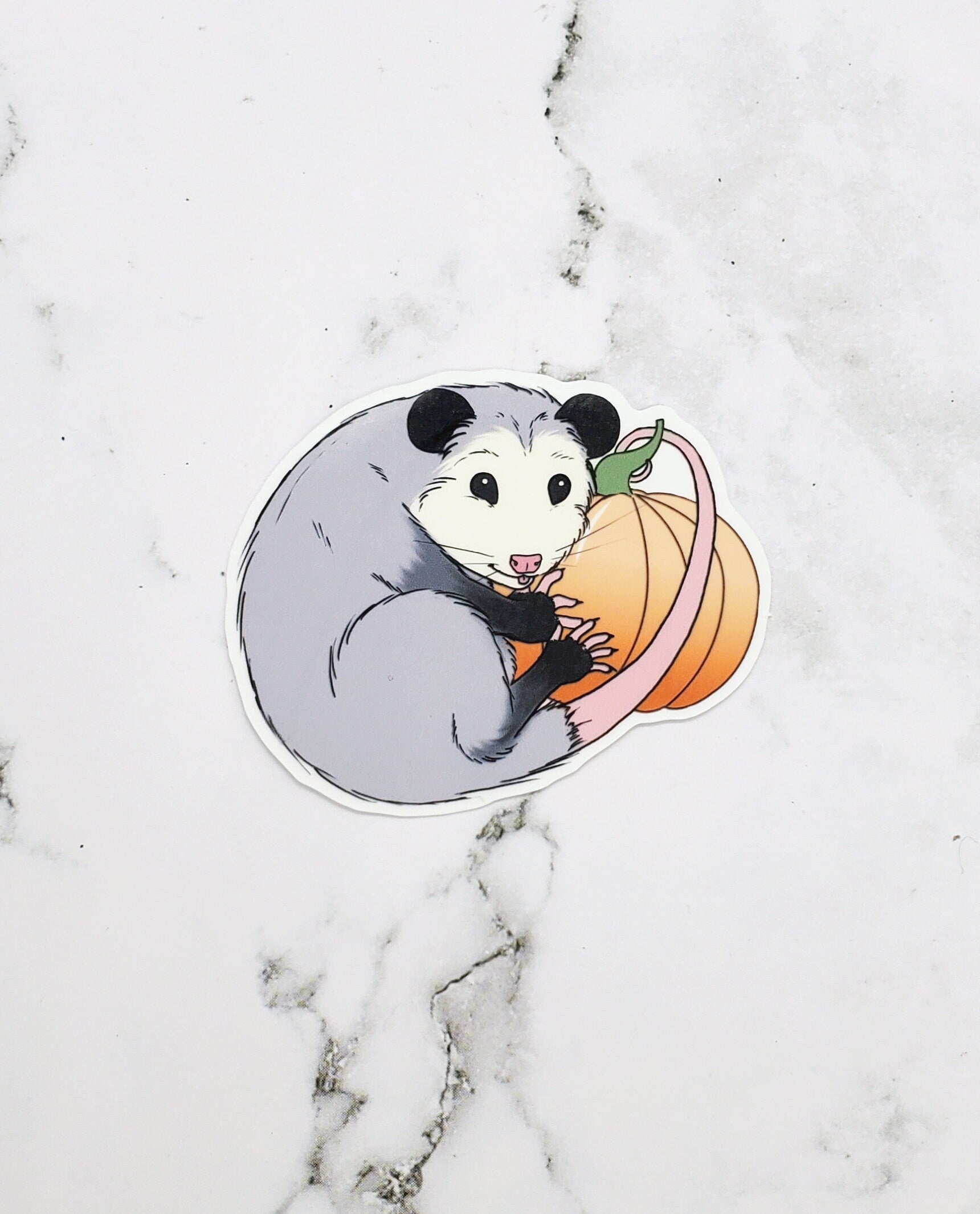 Fall Opossum Pumpkin Sticker