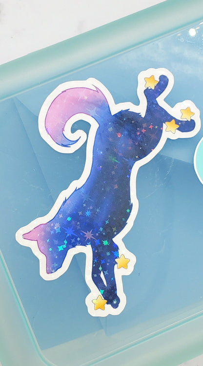 Galaxy Dog & Cat Stickers 2 pack